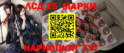 прущие грибы Будённовск